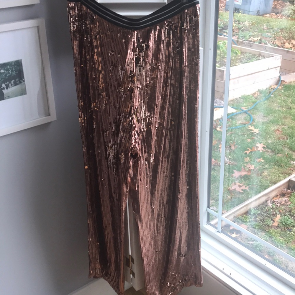 Free people full length sequin pants